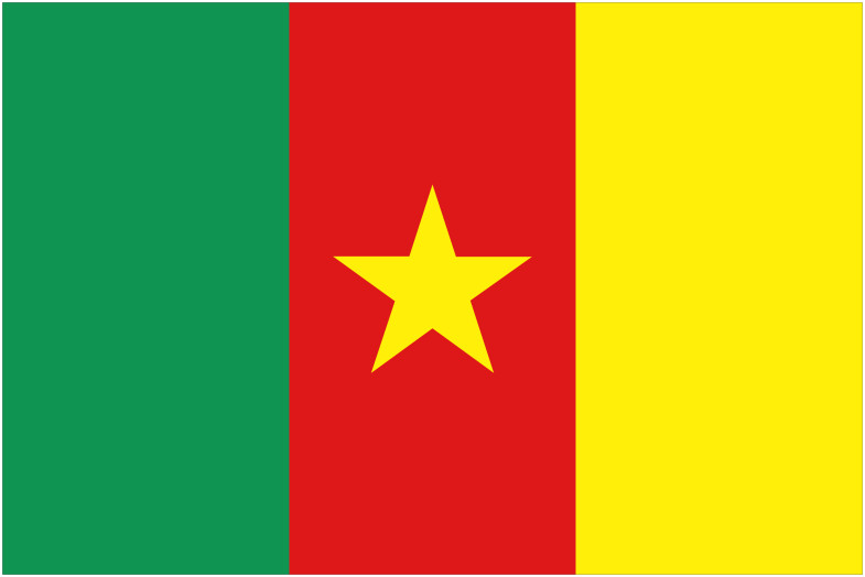 Cameroon Flag Download Vector