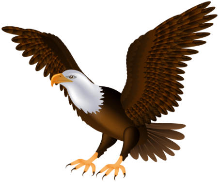 Eagle PNG (25 Image) Vector Icon Template Clipart Free Download