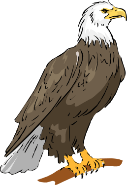 Eagle PNG (25 Image) Vector Icon Template Clipart Free Download